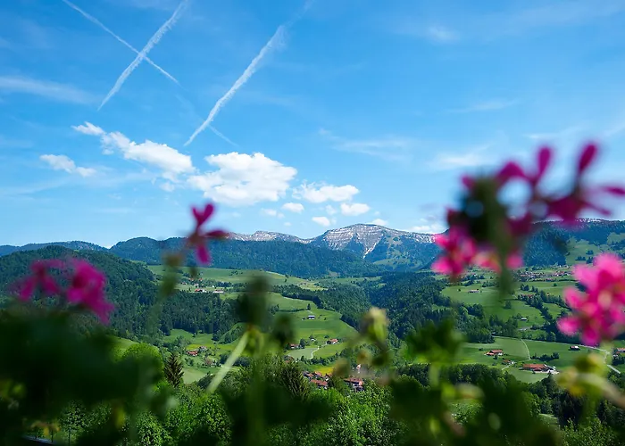 Allgaeu Sonne